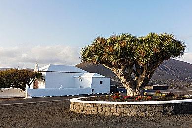 四人同屏欢乐无限 《萌怪合唱团》现已登陆Steam平台